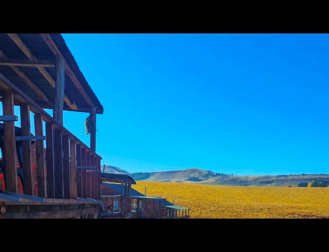 FARM FOR SALE IN UNDERBERG